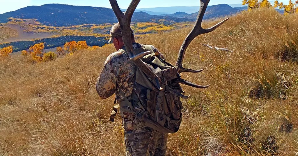 Best Elk Hunting Backpack Our Top 5 Picks (2021) Travel Savvy Guide