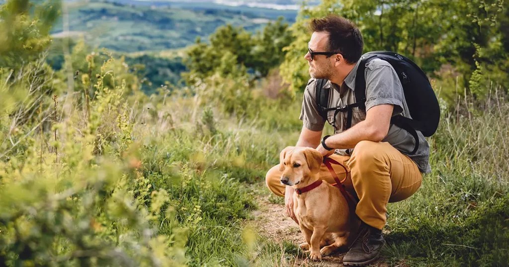20 Excellent Hiking Dog Names for Your Furry Companion