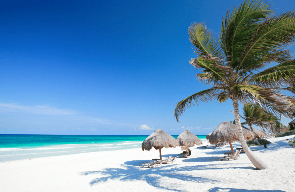 Tours Travel Solutions