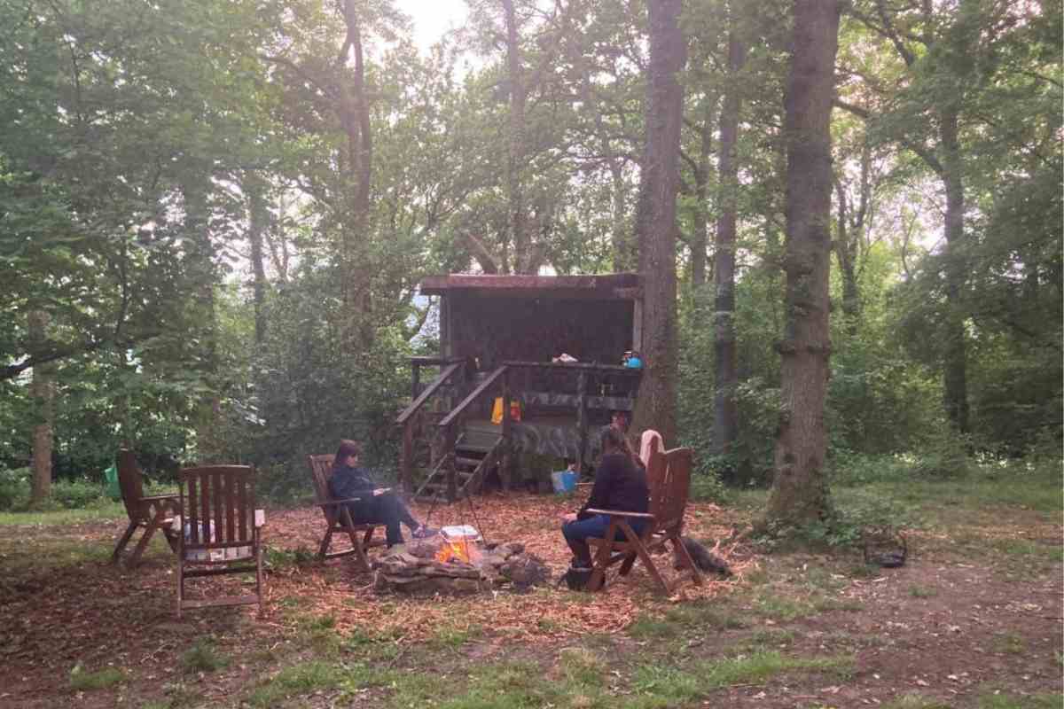 10 Best Tree House Stays in The UK (Find Your Perfect Place)