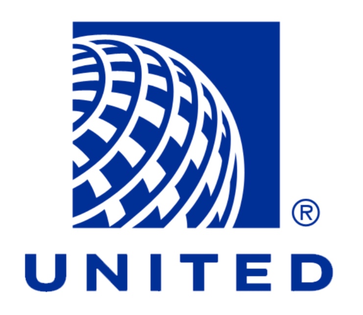 Is Your Cat Carrier Airline Approved? Travel Tabby