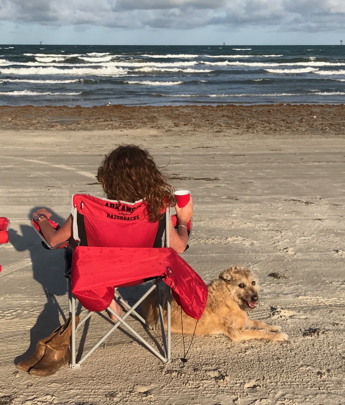 Port Aransas on Mustang Island Gone To The Dogs Travel Tails