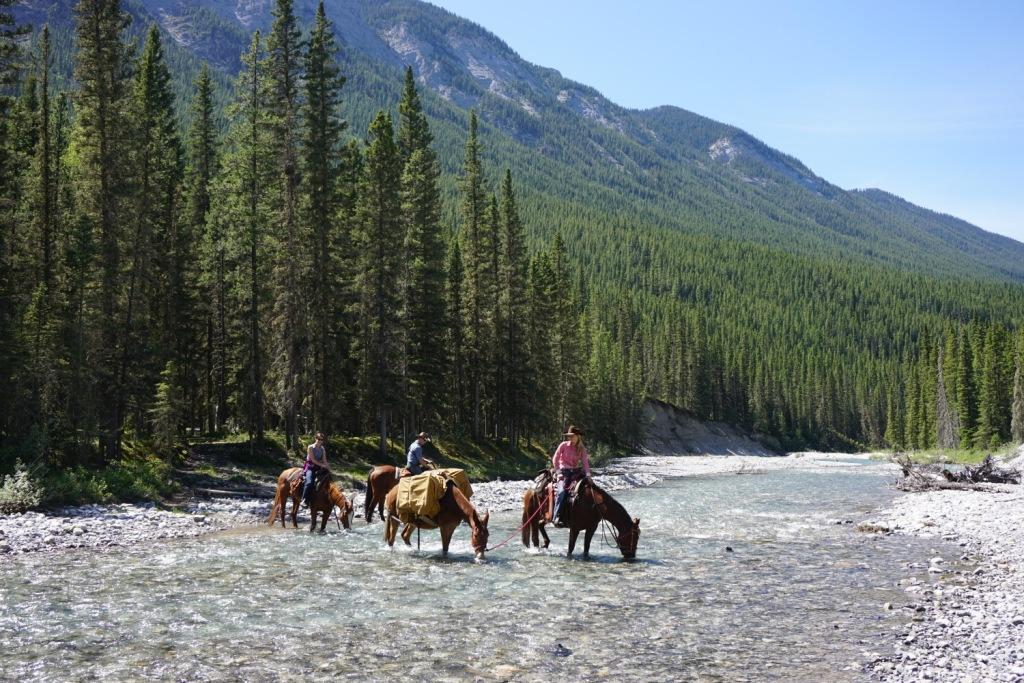 Horseback Riding Banff Making A Cowboy Travel Tales of Life