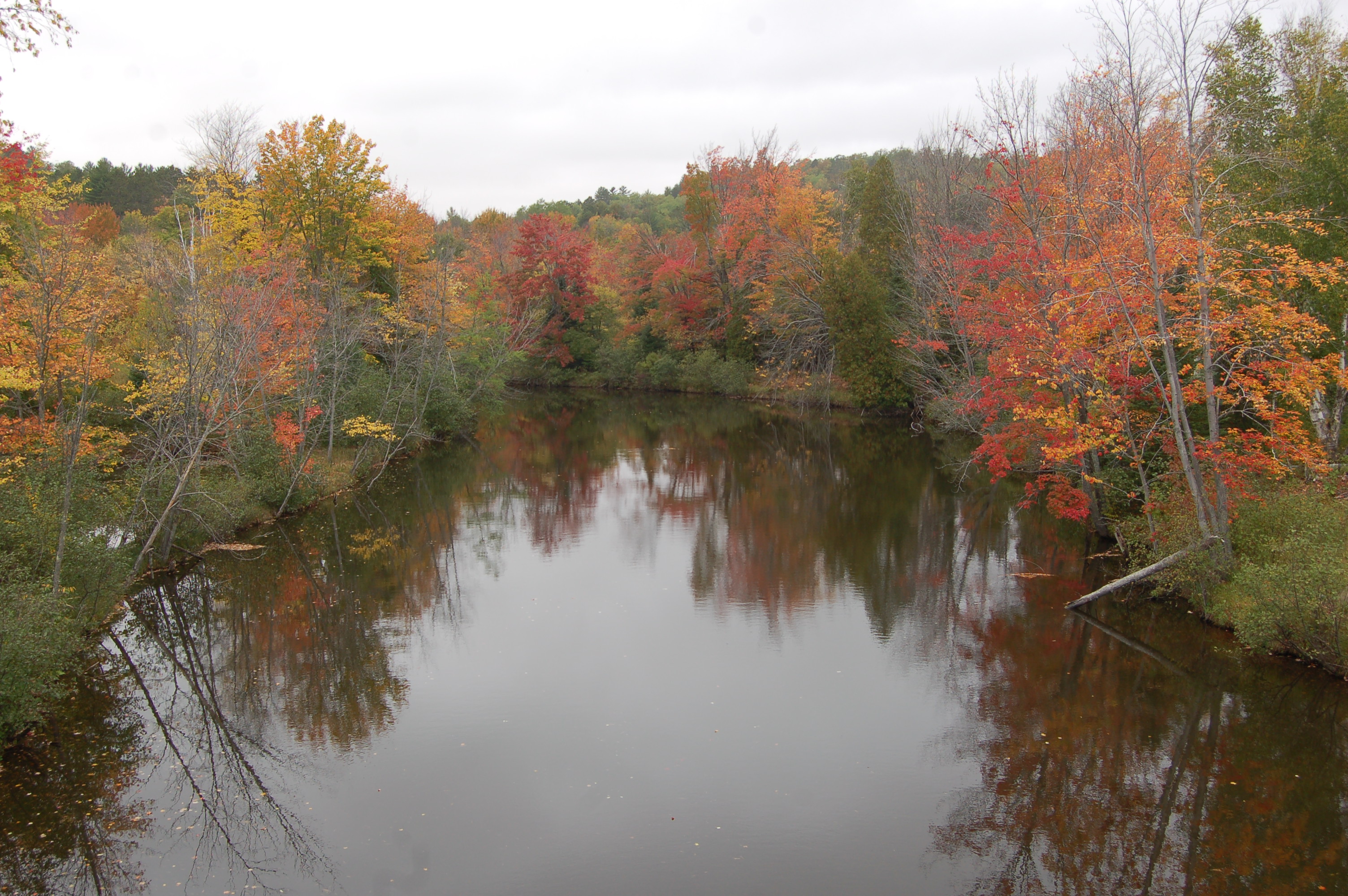 Upper Peninsula Peak Fall Colors 2023
