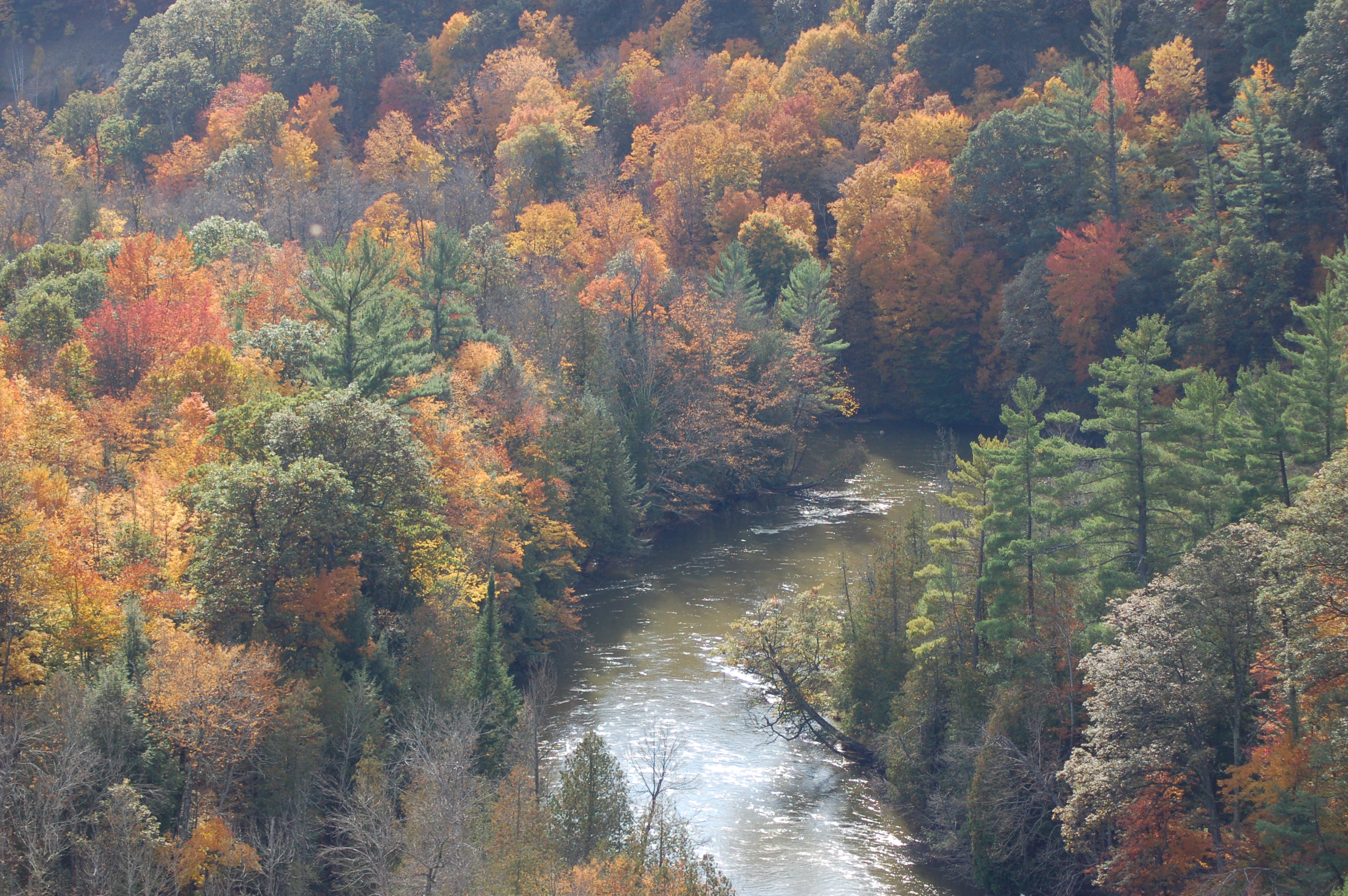 Fall Color Manistee River Michigan Travel the Mitten