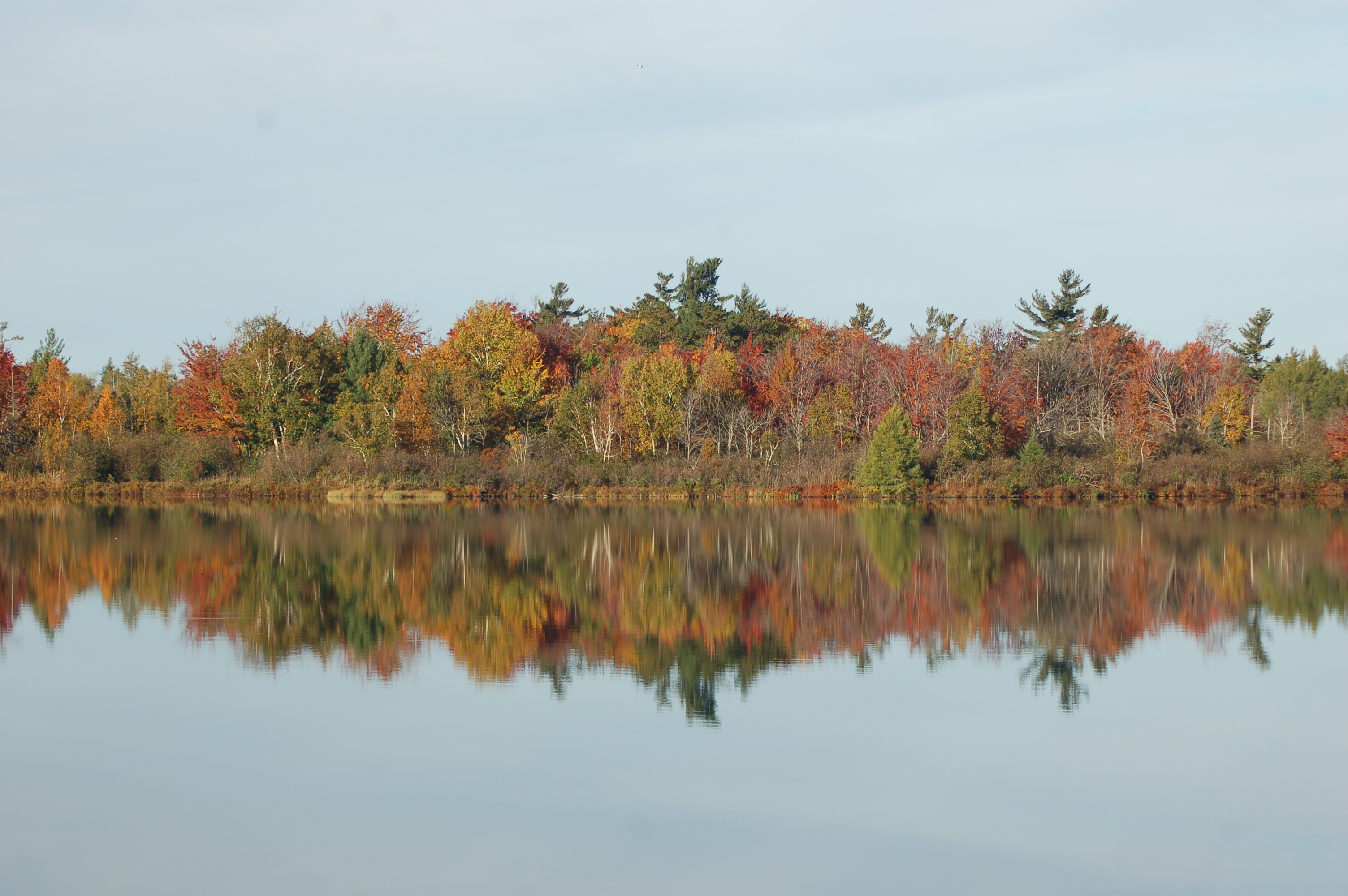 Fall Color Reflection Loon Lake MI Travel the Mitten