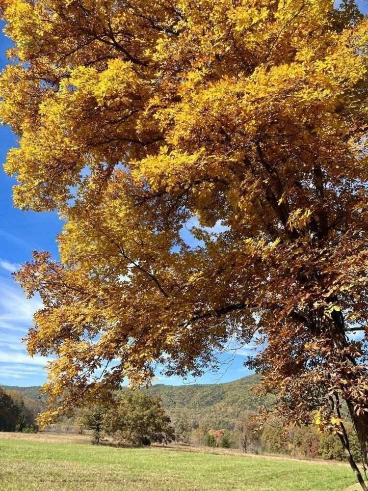 Daytona Beach Craigslist Your Guide to Local Living