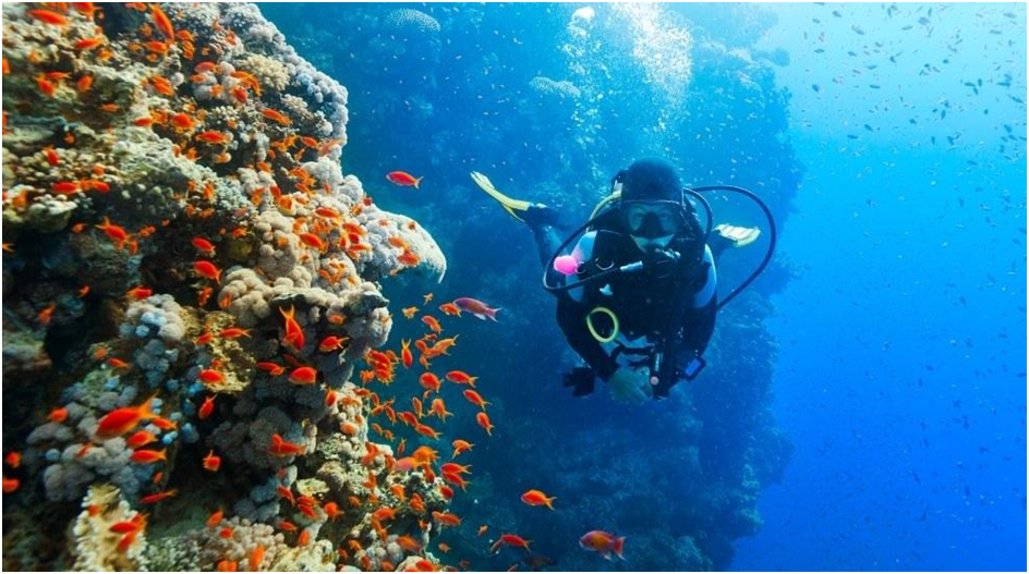 A Handy Guide For Scuba Diving in Andaman