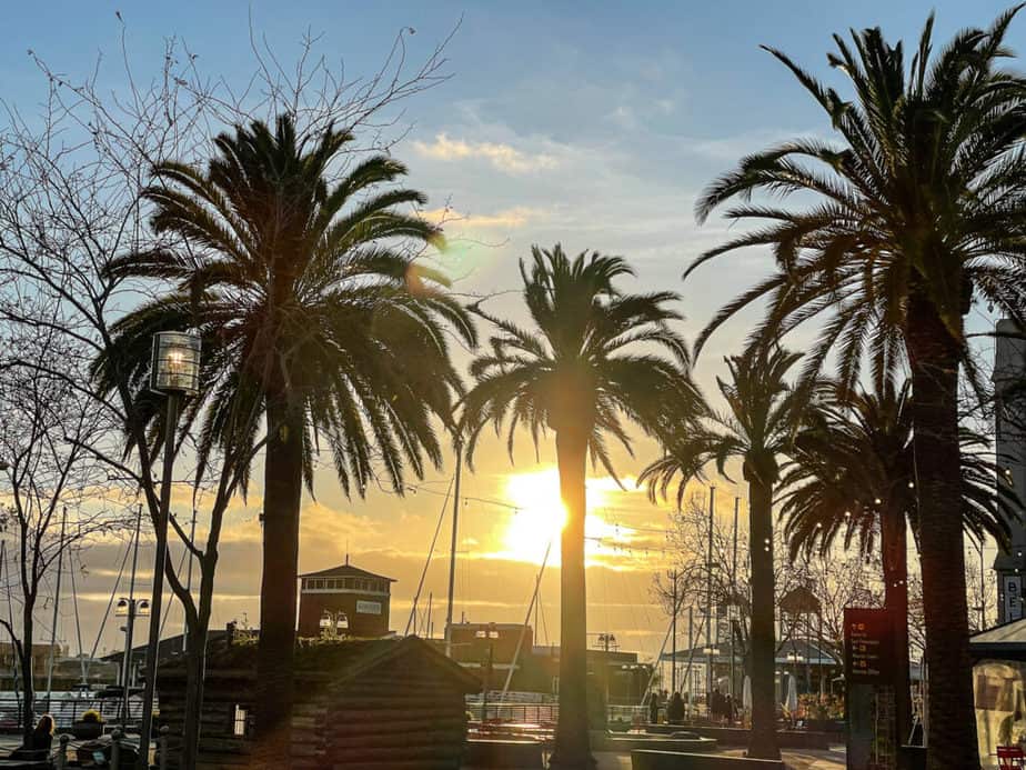 Your Ultimate Guide to Jack London Square, Oakland