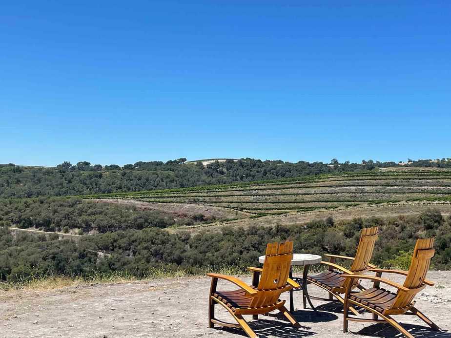Best Dog Friendly Wineries Paso Robles Ultimate Guide & Tips TTWT