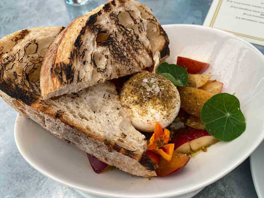 Best Dog Friendly Wineries Paso Robles Ultimate Guide & Tips TTWT