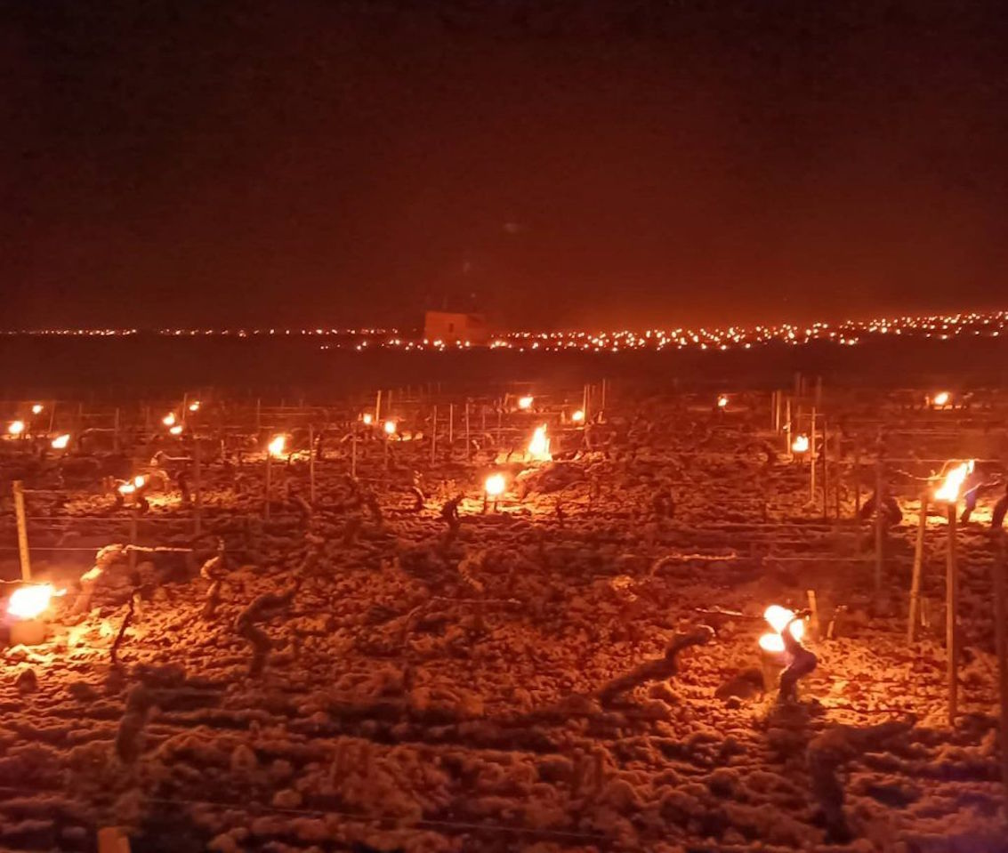 The sad reason why French vineyards are lit with candlelight Travel