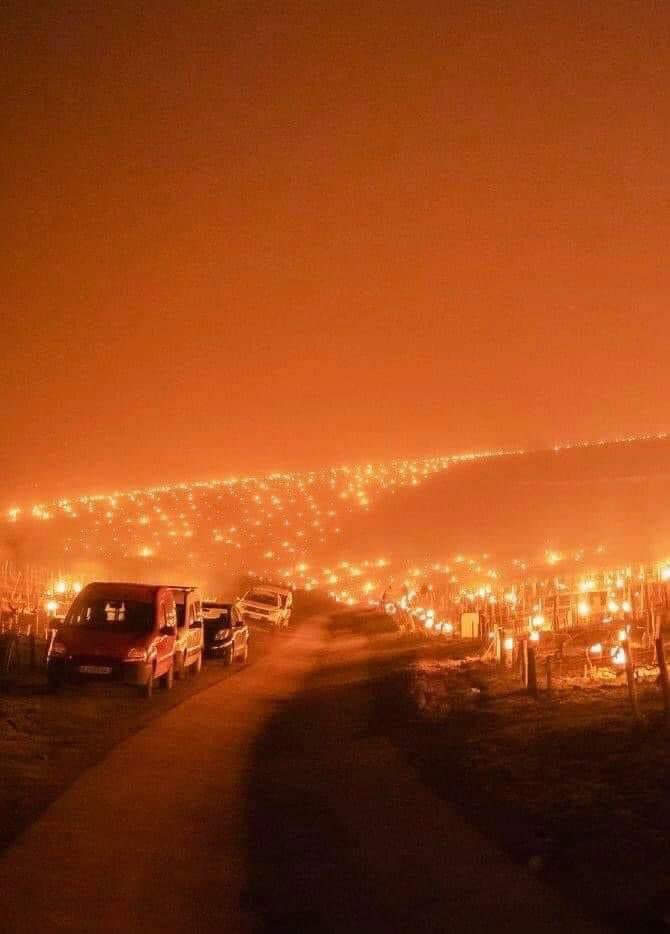 The sad reason why French vineyards are lit with candlelight Travel