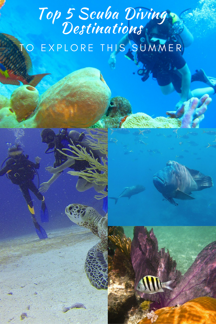 Top 5 Scuba Diving Destinations to Explore This Summer Travel Tweaks Travel Tweaks