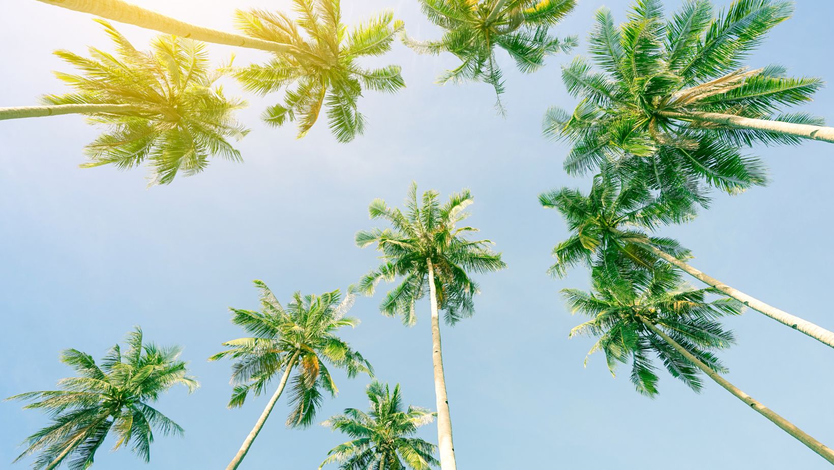 How Far is Dunnellon Florida from Me? Find Out the Distance Now