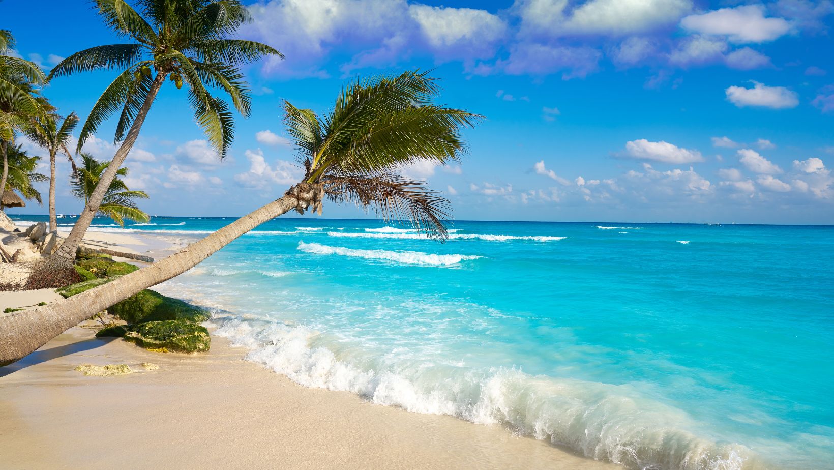 Yucatán Peninsula Adventure Distance Between Playa Del Carmen And