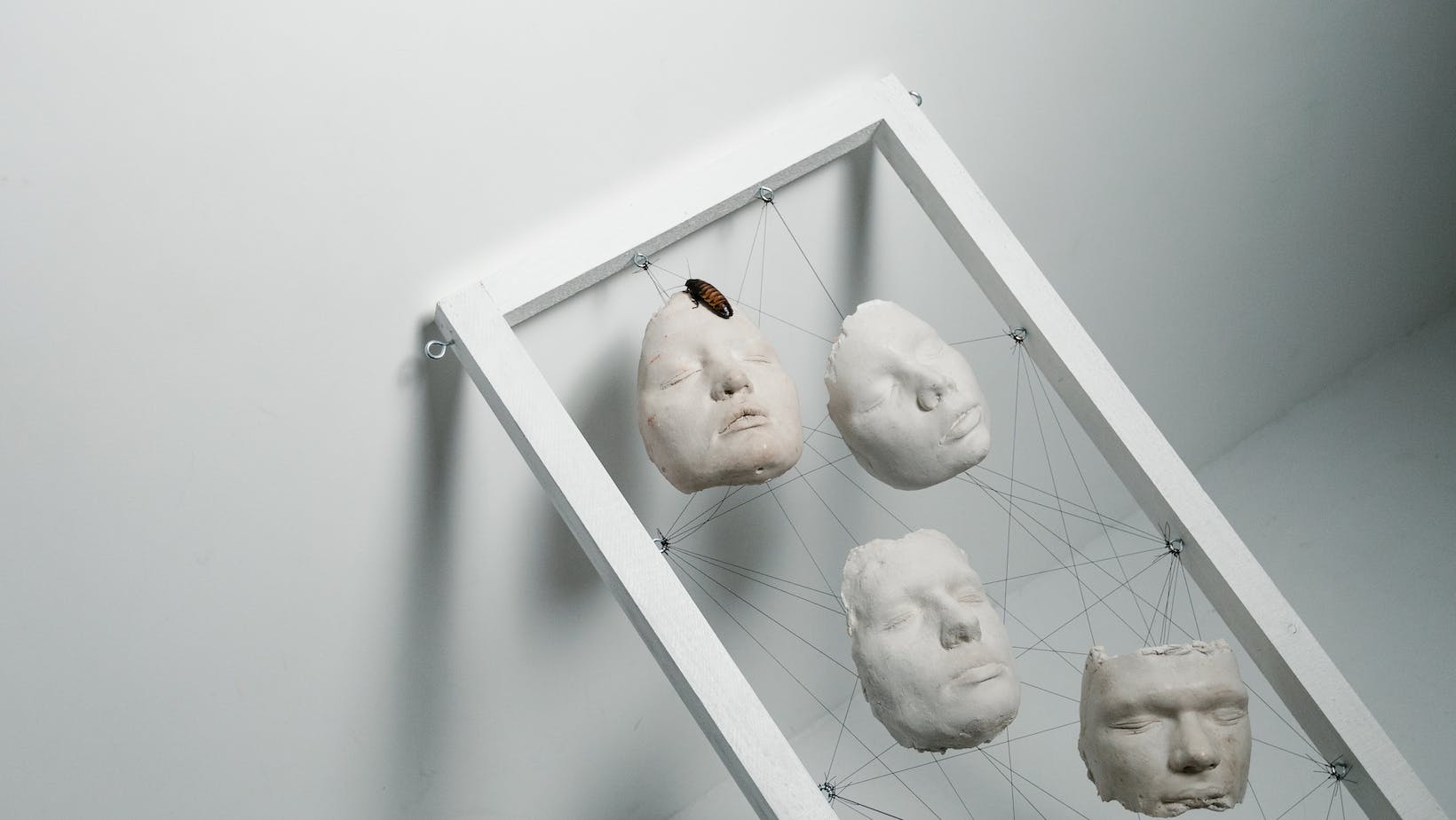 Can Cockroaches Live in Your Peni Find Out Now! Travel Tweaks