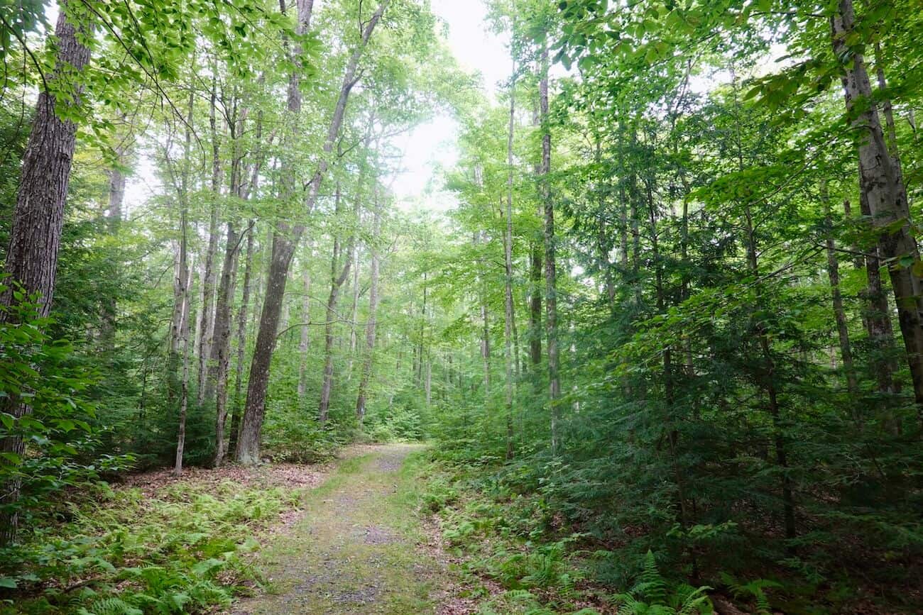 Promised Land State Park A Picturesque Pocono Park Travel with Lolly