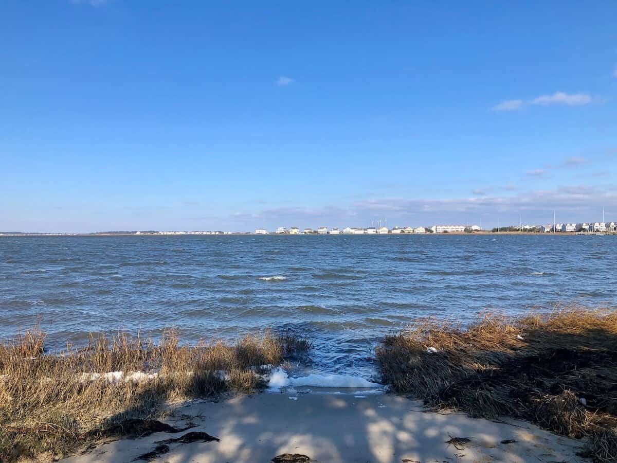 Fresh Pond Trail A Nature Oasis in Southern Delaware Travel with Lolly