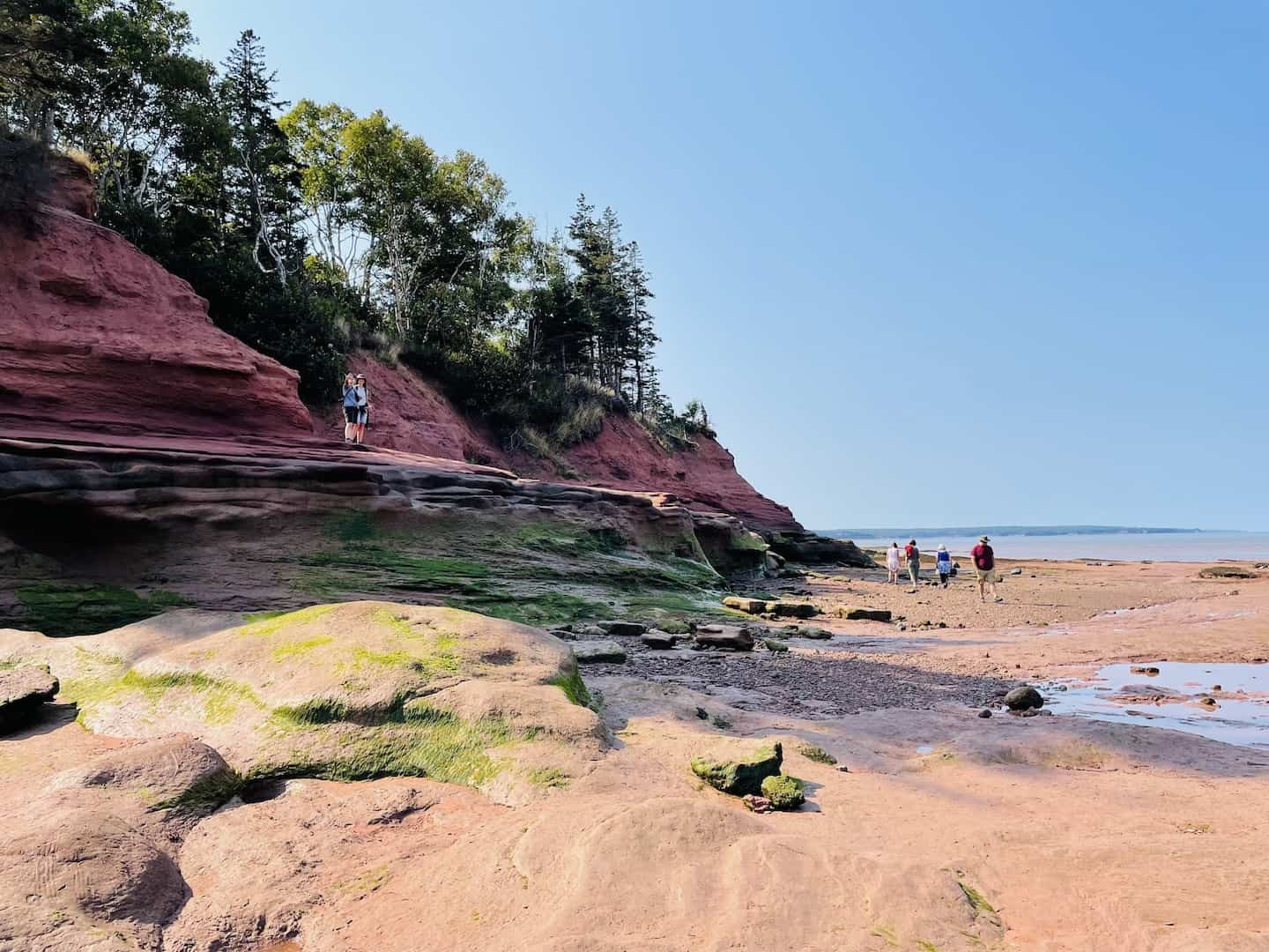The Best Ways to Experience the Phenomenal Bay of Fundy, Nova Scotia