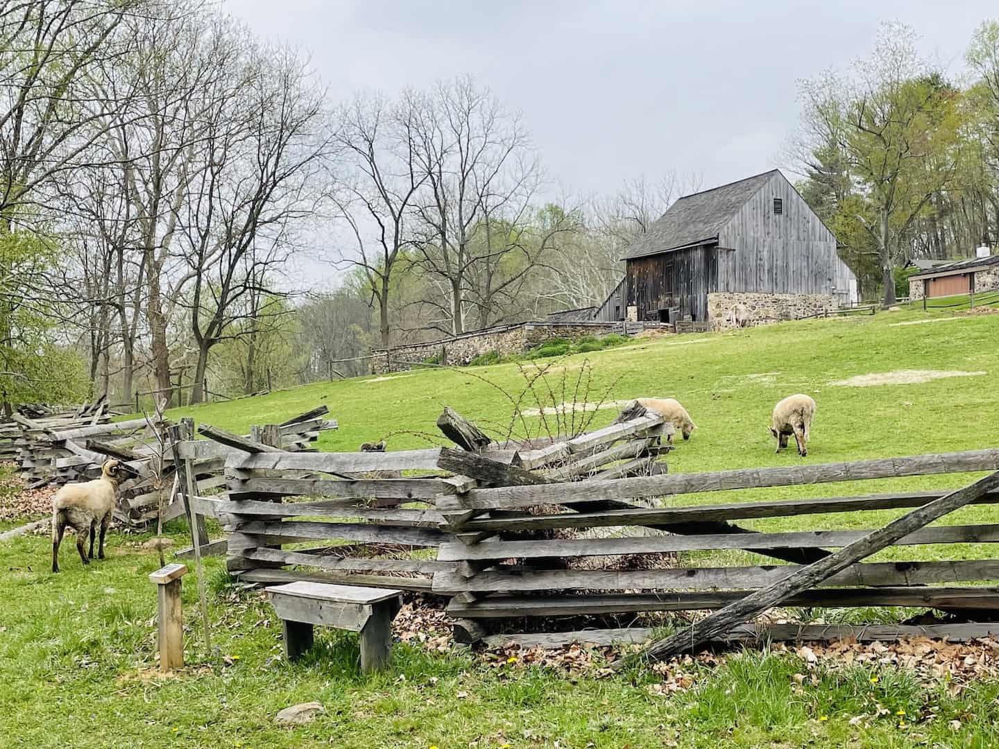 Colonial PA Plantation A Captivating ColonialEra Farm Outside