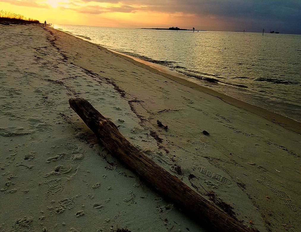 Nature Experiences To Enjoy Along The Alabama Coastline Travel With Sara