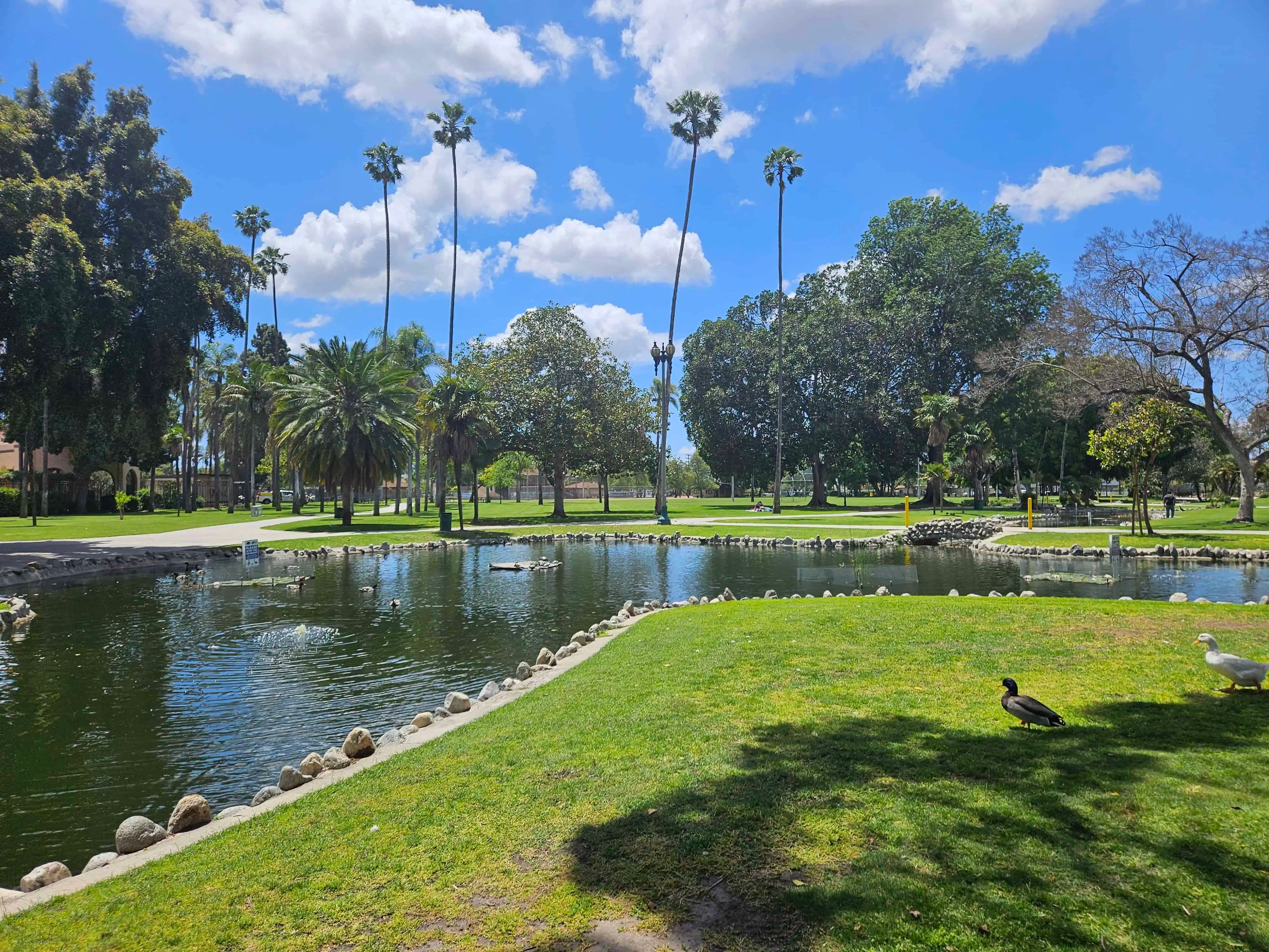 Pearson Park Anaheim’s Family Fun & Scenic Oasis Travel Youman