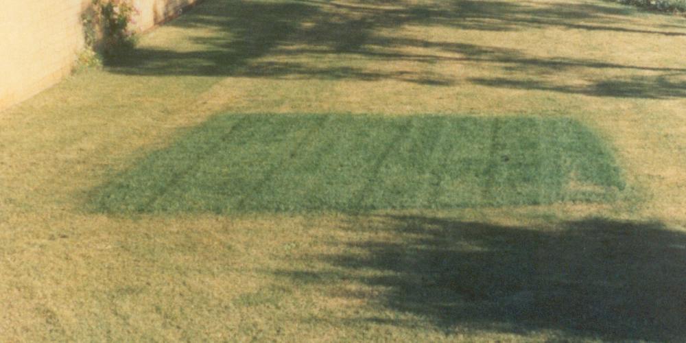 How to Make Your Grass Greener Exploring Hydretain Green Team