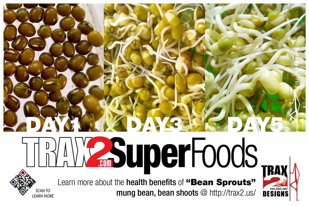 Bean Sprouts Kidney Disease at William Dock blog