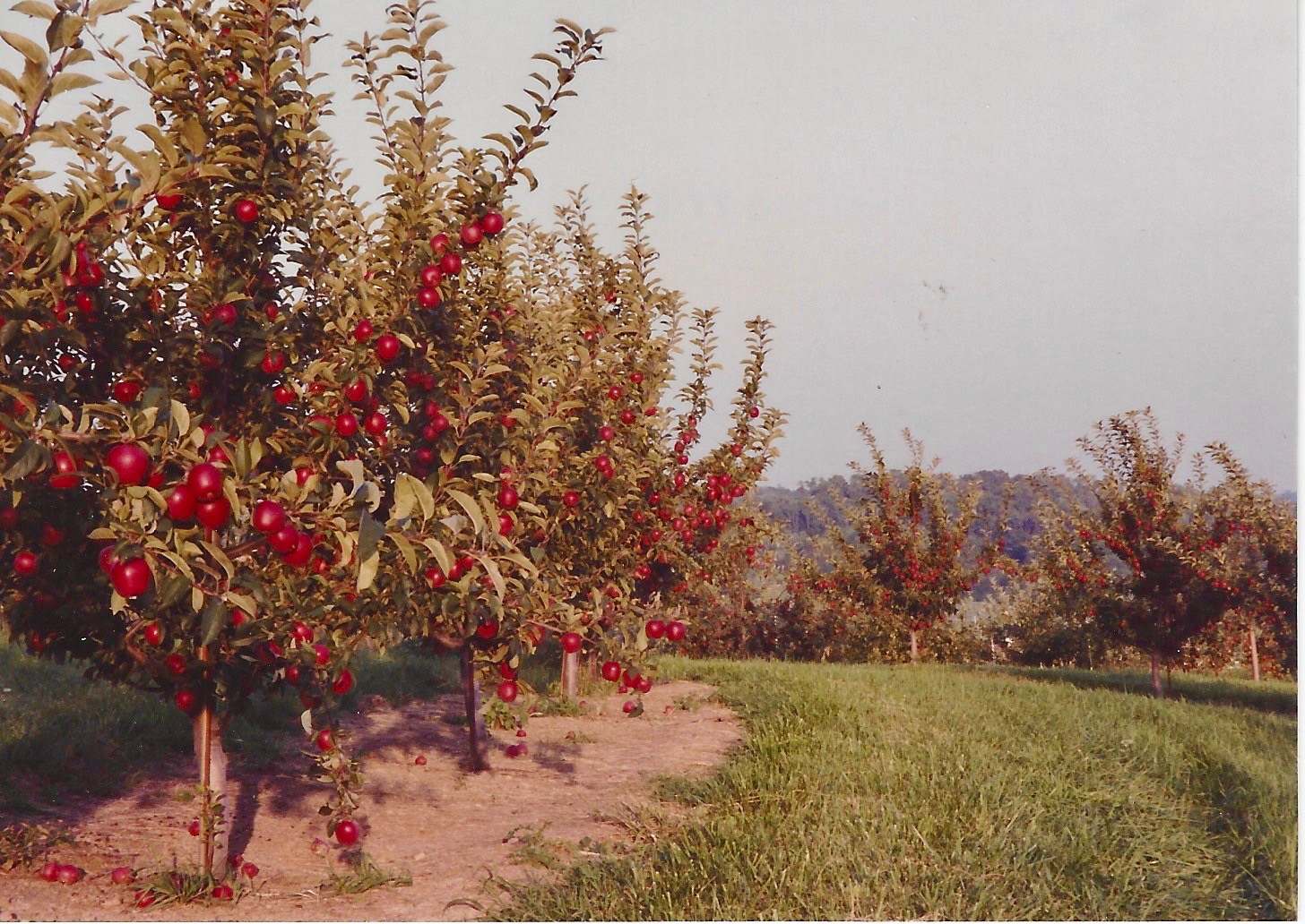 Trax Farm History Finleyville, PA