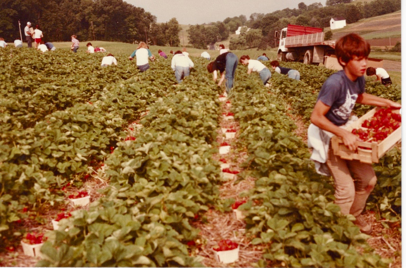 Trax Farm History Finleyville, PA