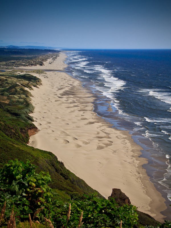 Florence, Oregon Vacation Rental Traxler's Surfside Cottage