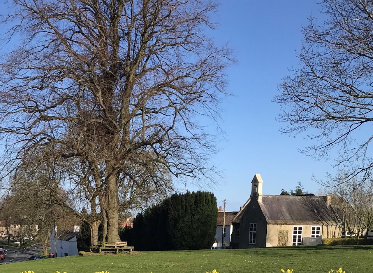 Jane Hardy of Burton Leonard The story behind the sampler