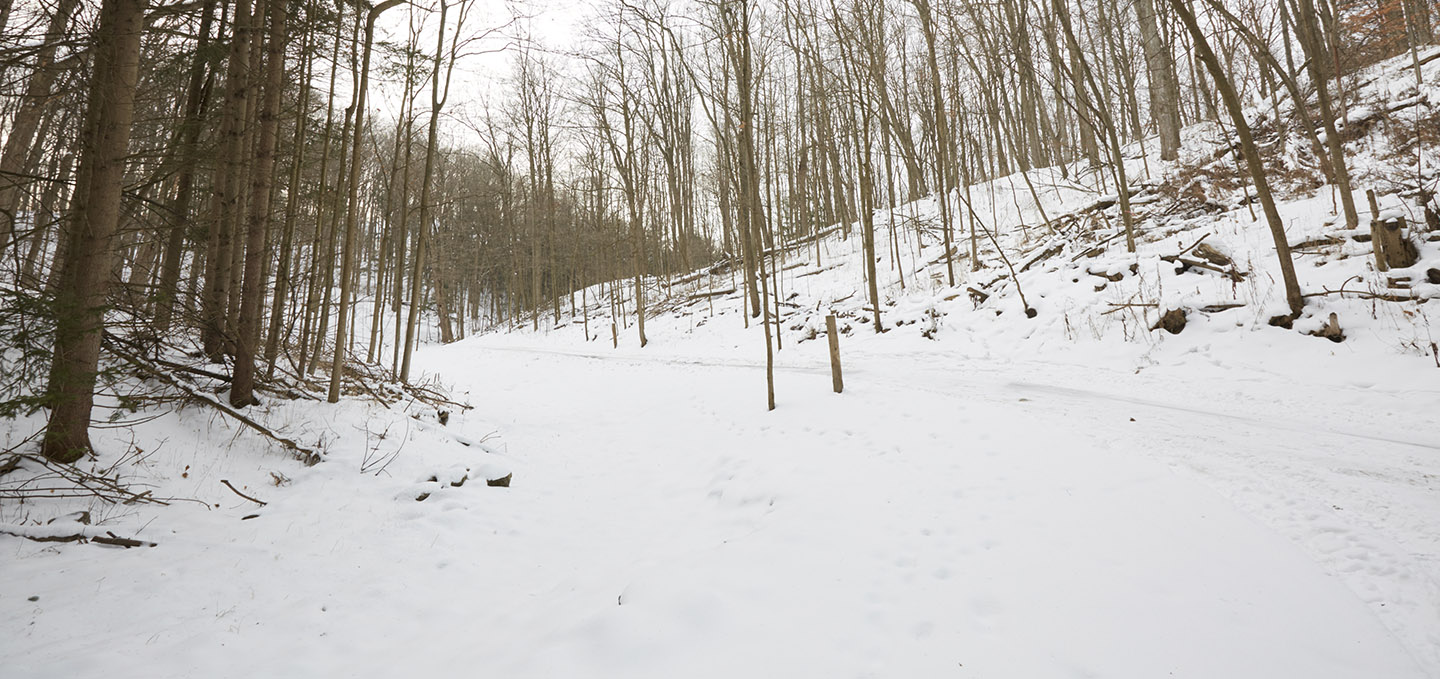 Snowshoeing Toronto and Region Conservation Authority (TRCA)
