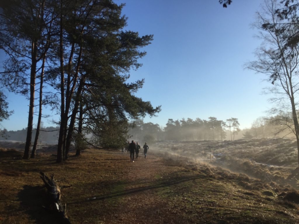 Zondagtrails Maarn Trail & Running club Utrechtse Heuvelrug