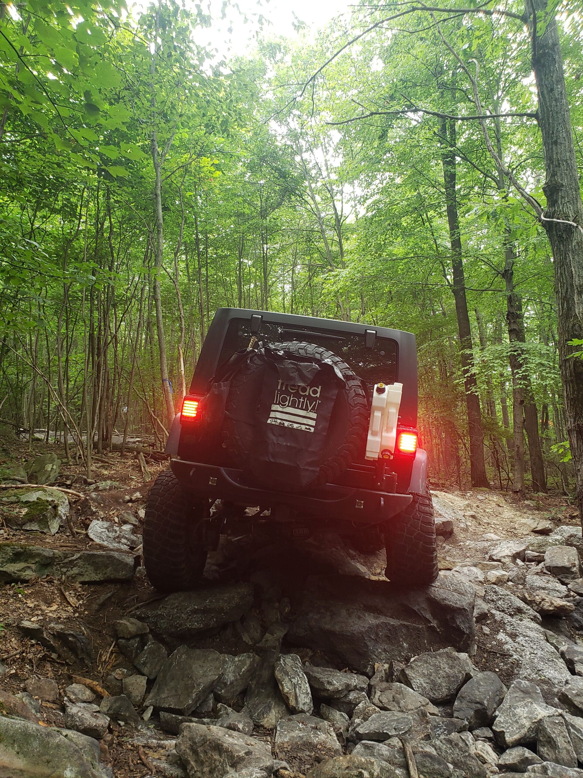 Tread Lightly Impact Report Anthracite Outdoor Adventure Area Cleanup