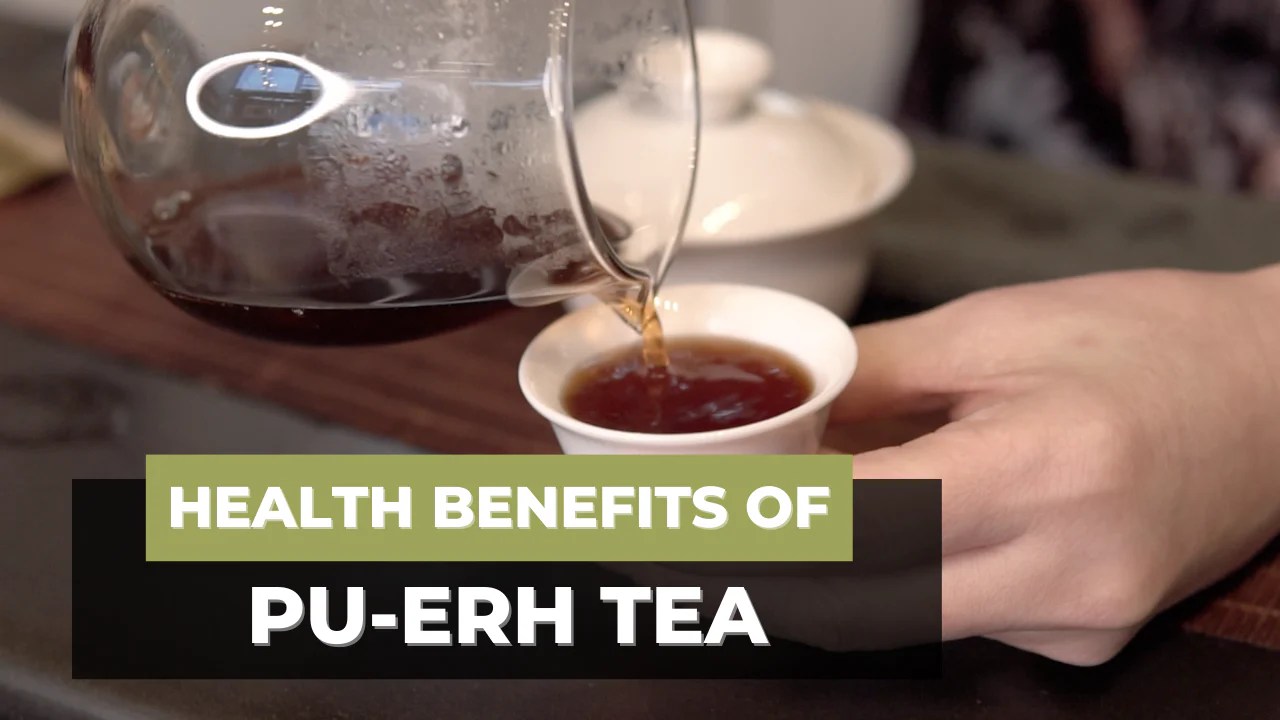 Health Benefits of Puerh Tea Treasure Green Tea Company