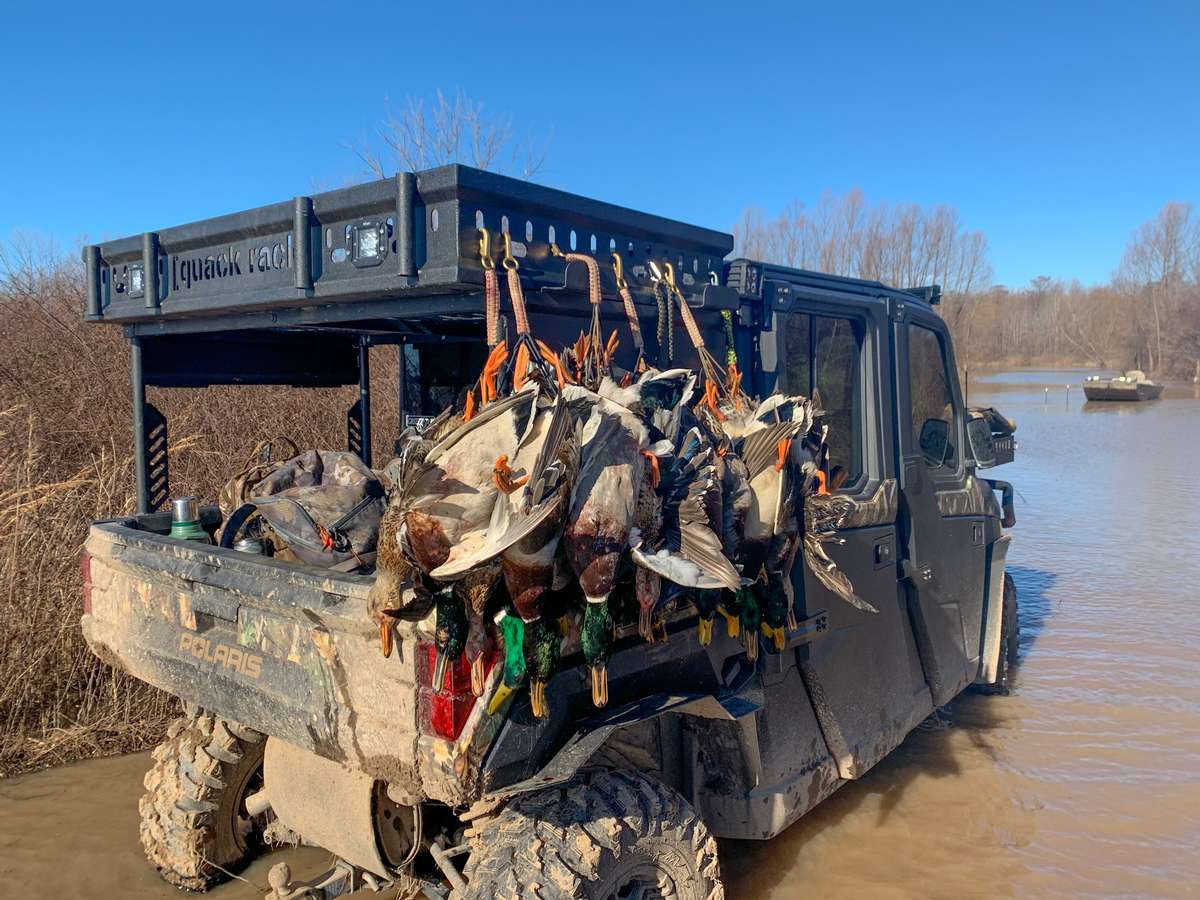 Flooded Timber Duck Hunts Missouri Treasure Island Outfitters