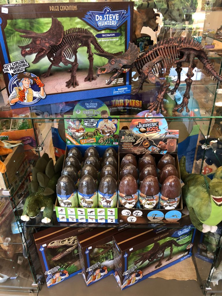 Prehistoric Gift Shop Fossils Crystals Dinosaurs and Metaphysical