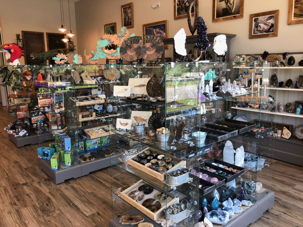 Prehistoric Gift Shop Fossils Crystals Dinosaurs and Metaphysical
