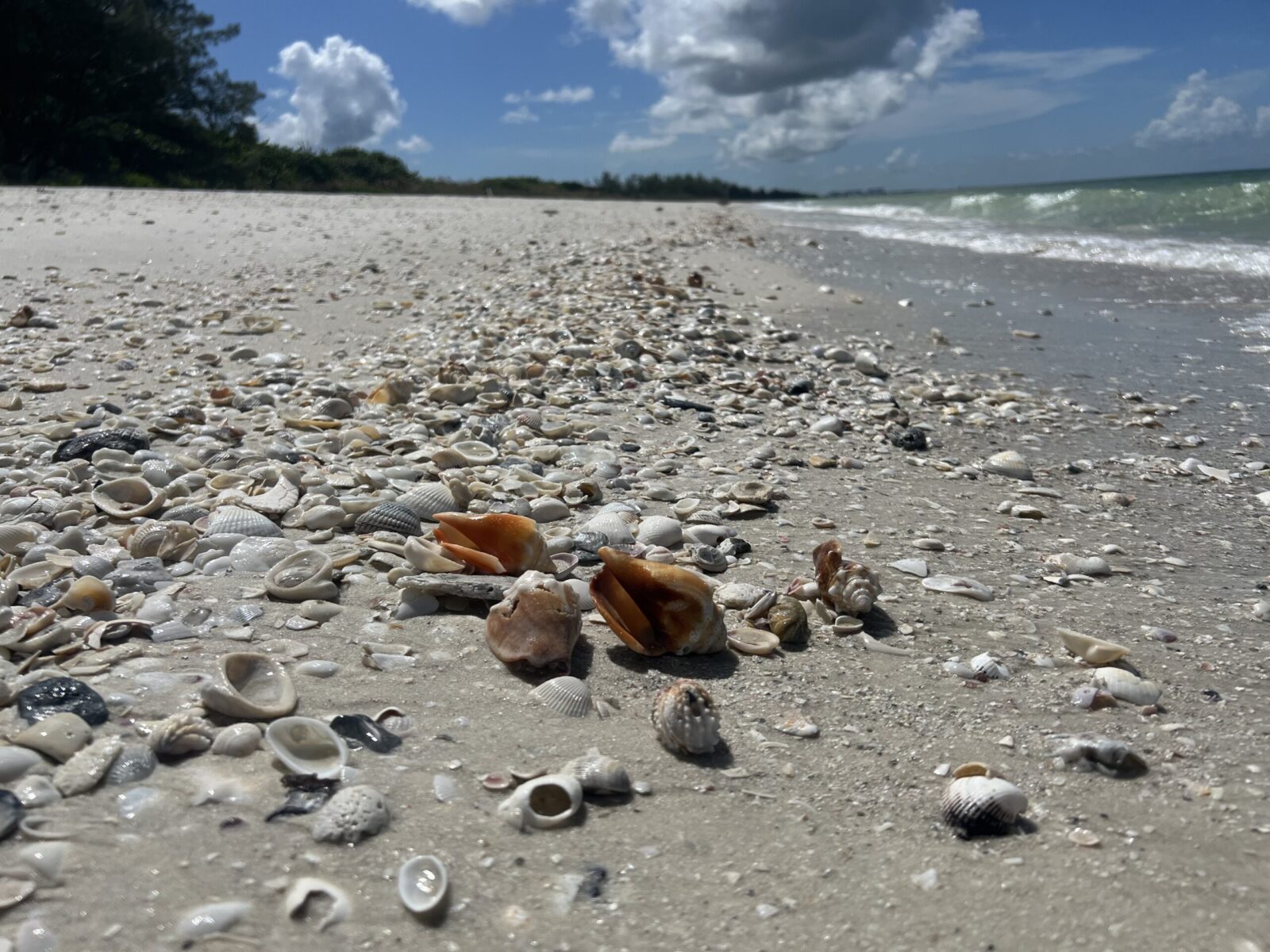 Keewaydin Island Unveiling a Hidden Gem in the Ten Thousand Islands