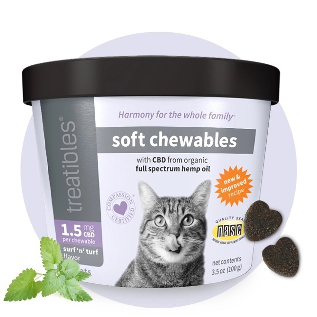 6 Best CBD Cat Treats and Chews Vetstreet Vetstreet
