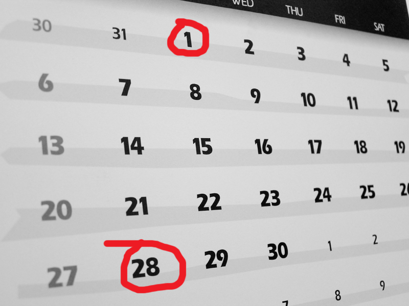 TwentyEight Days Recovery SI