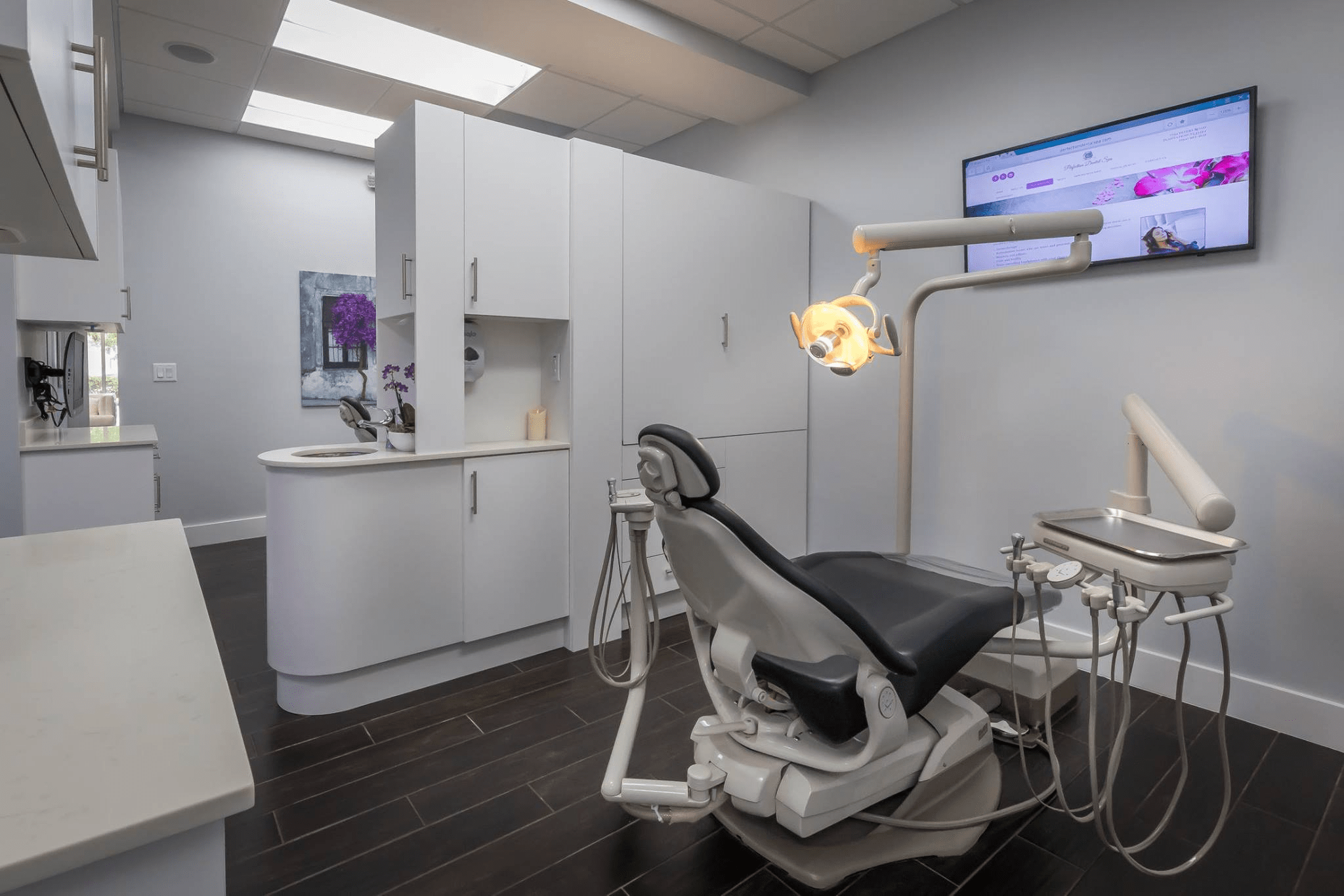 Perfection Dental Spa TrebArc