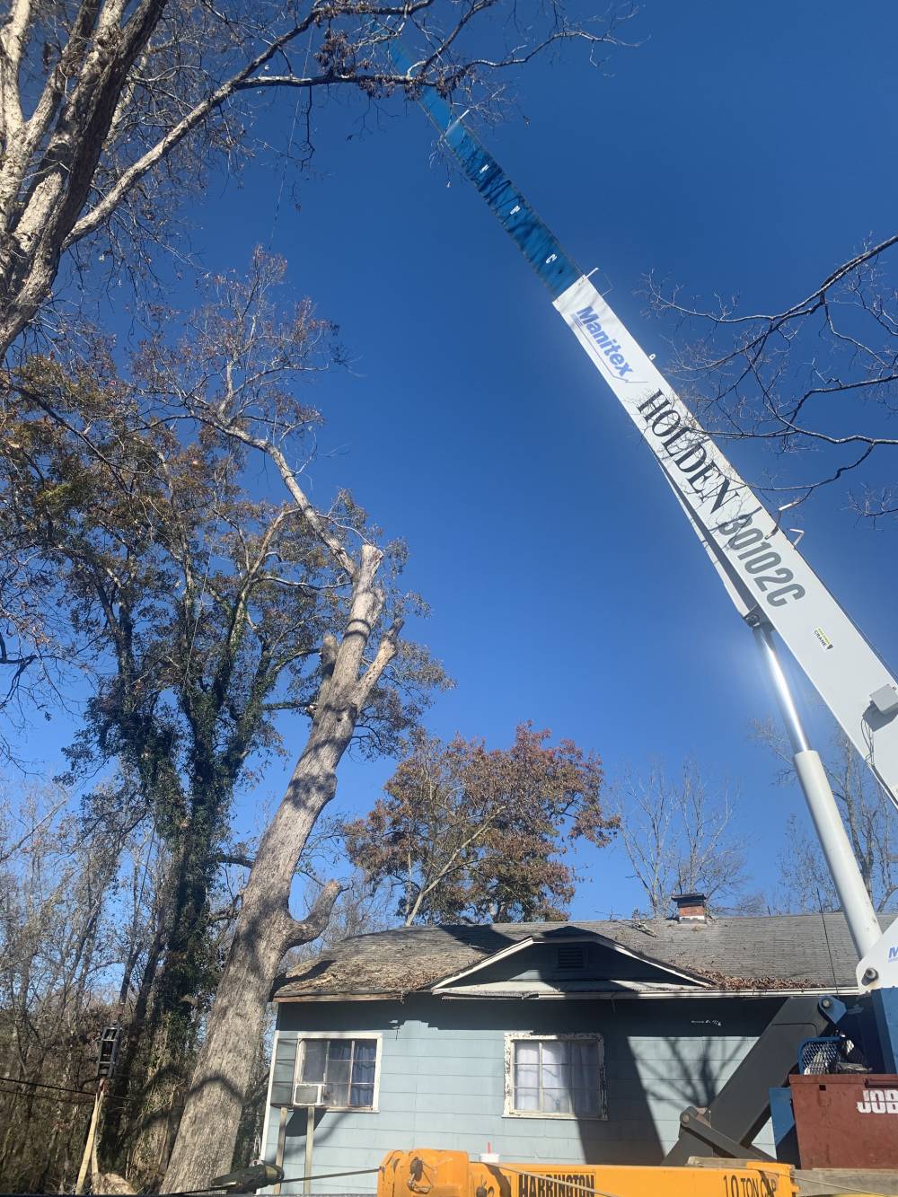 Reliable tree removal in Tunnel Hill, GA, 30755
