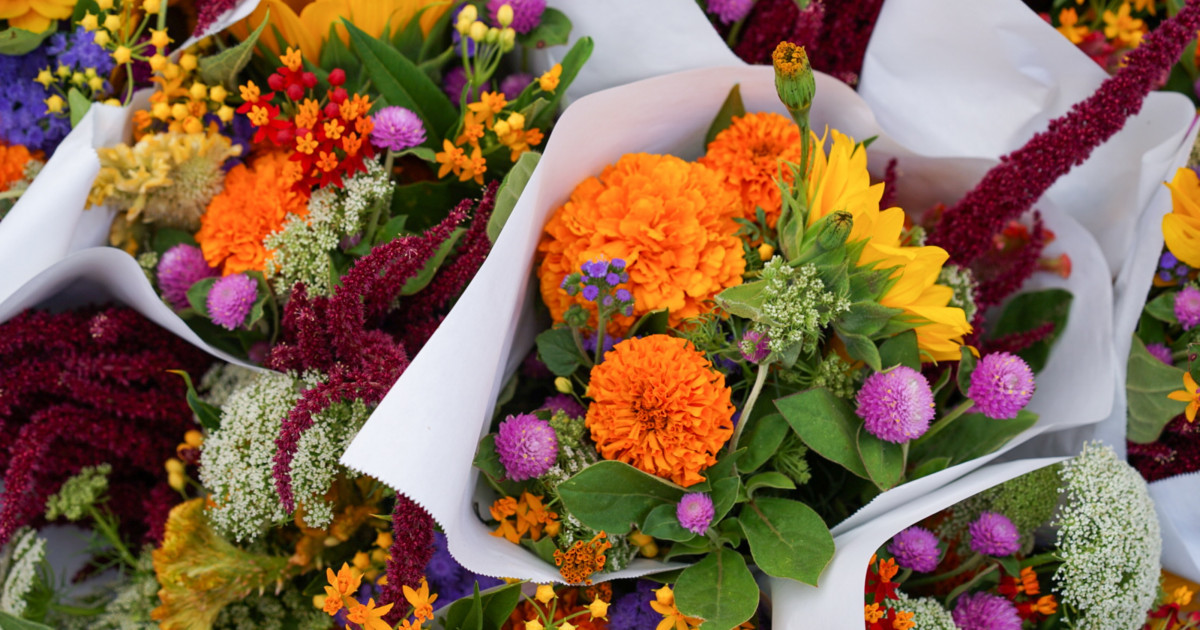 What is the environmental impact of the cutflower industry? Tree