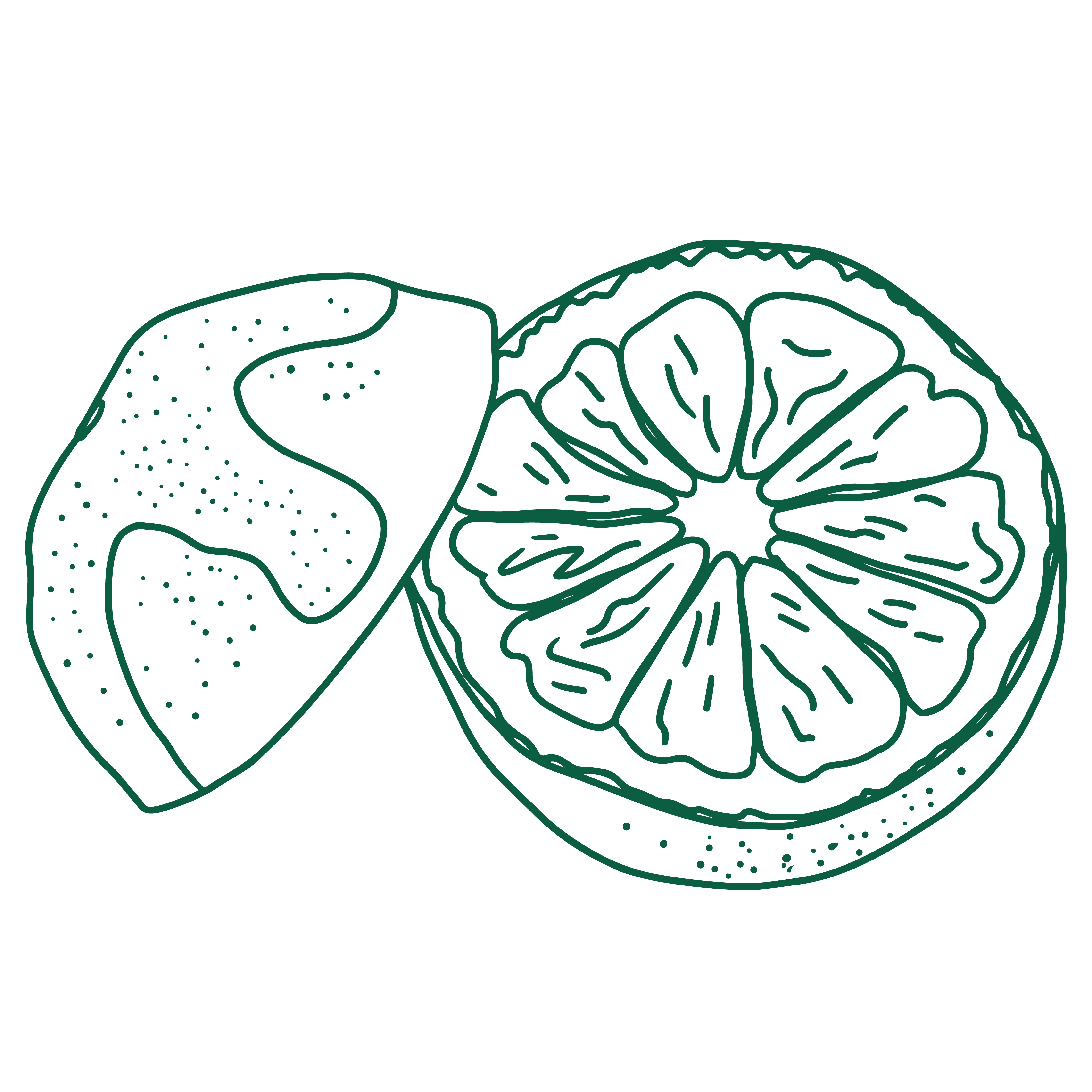 Florida Pummelo Fresh Fruit Delivered TreeRipe Fruit Co.