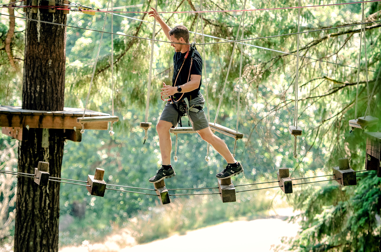 Aerial Adventure Tree to Tree Adventure Park Oregon