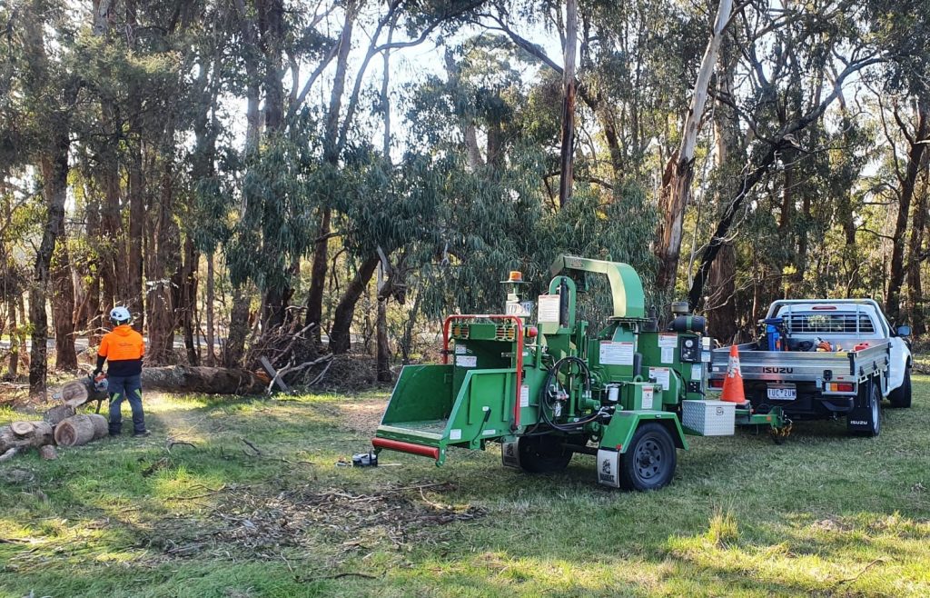 How much does tree removal cost in Melbourne? Tree Amigos Victoria