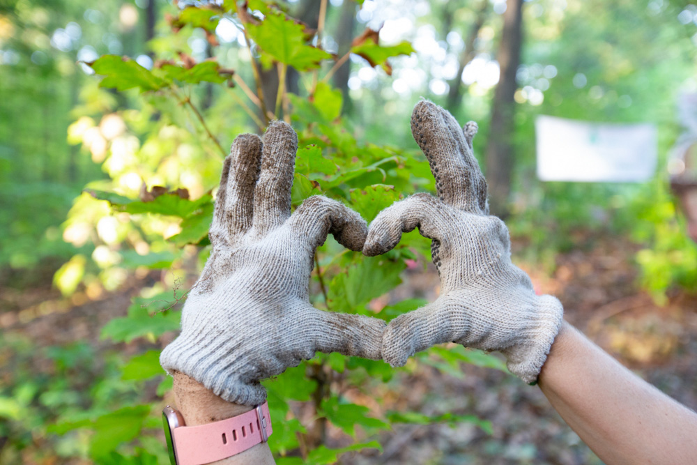 National Tree Day Tree Canada